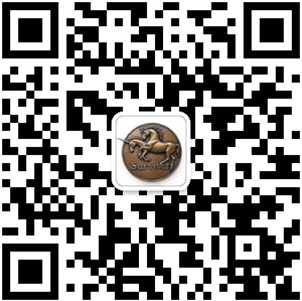 幸存者公众号