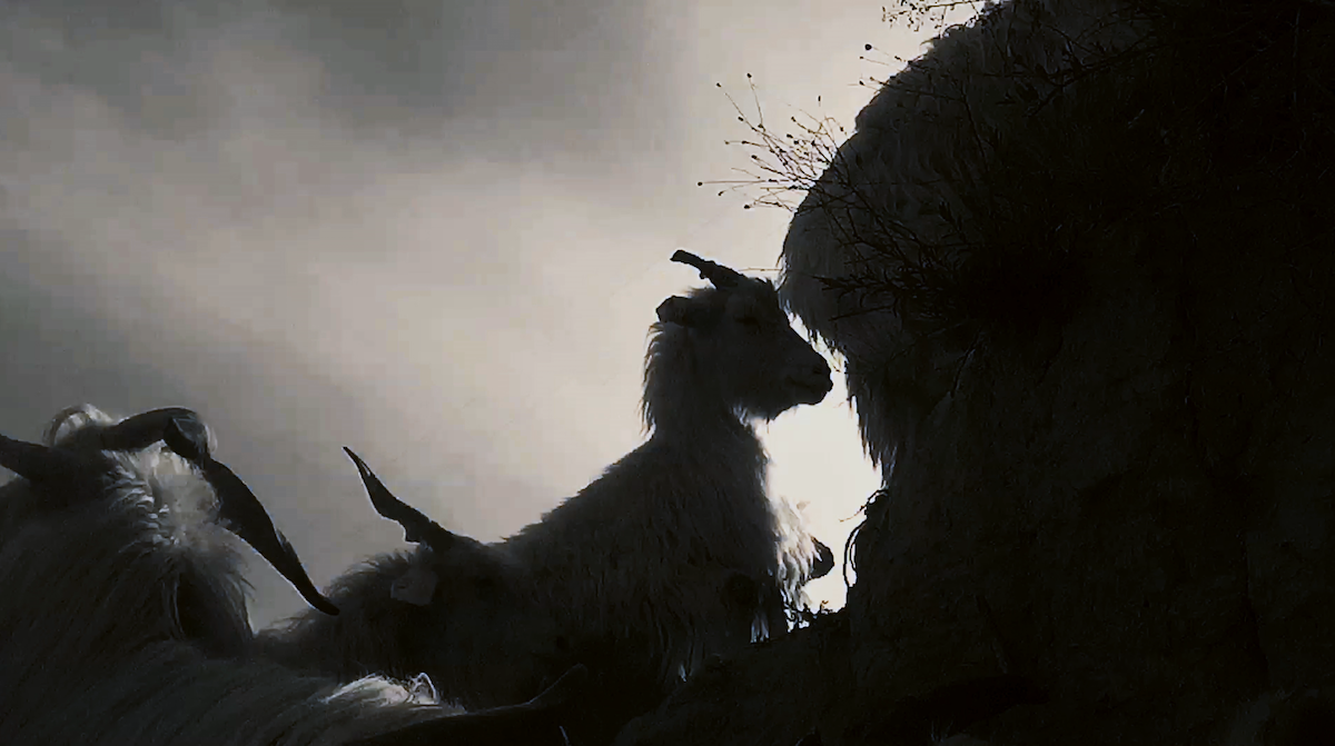 《游神考》（2019 导演黎小锋 贾恺）剧照1.png